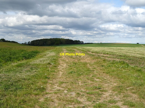 Photo 6"x4" Farm track (bridleway) towards Spellar Park Stearsby c2020