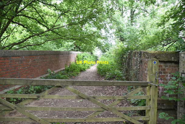 Photo 6"x4" Bridleway Bridge Gallypot Street c2020