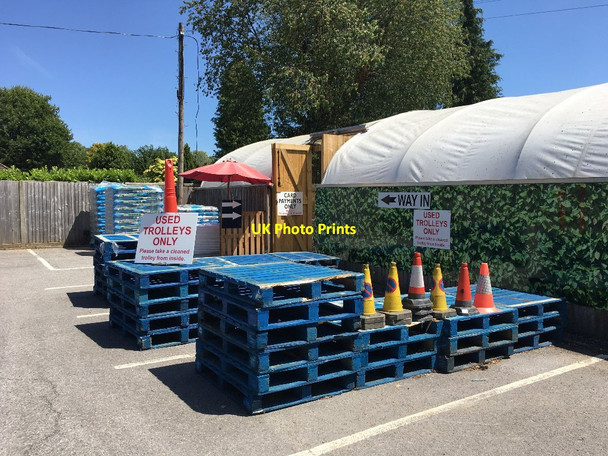 Photo 6"x4" Garthowen Garden Centre Four Marks c2020