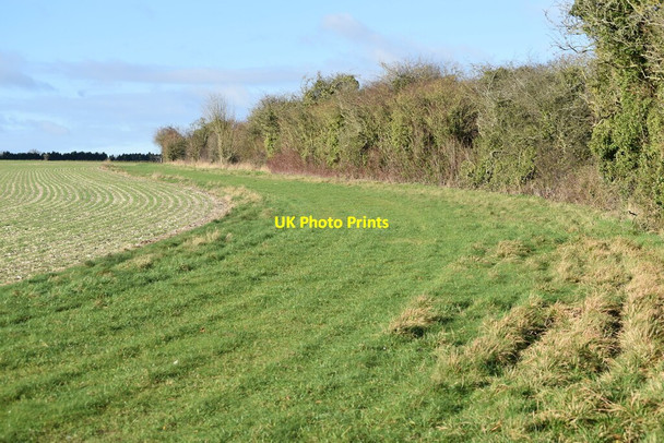 Photo 6"x4" Field edge beside bridleway above Chalk Pyt Farm Broad Chalke c2020
