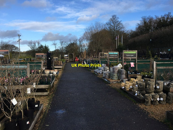 Photo 6"x4" Basingstoke Garden Centre North Waltham c2020