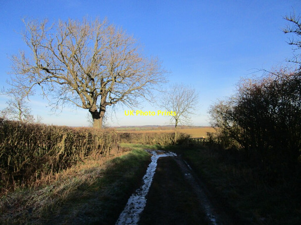 Photo 6"x4" Bend in the bridleway, Hotchley Hill Bunny Hill\/SK5728 c2020