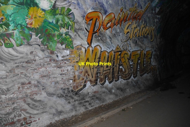 Photo 6"x4" Mural, Colinton Tunnel Bonaly c2020
