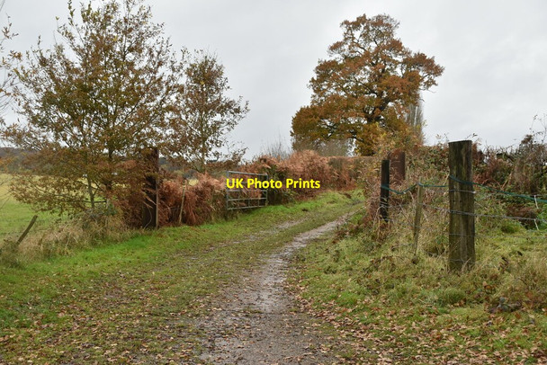 Photo 6"x4" Bridleway to Sundridge Dryhill\/TQ4955 c2019