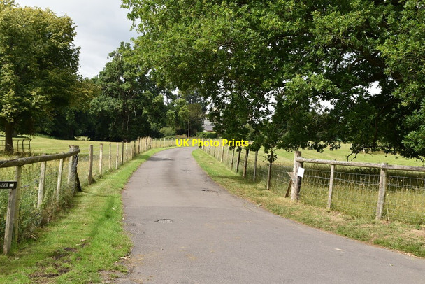 Photo 6"x4" Driveway to Greathed Manor Dormansland c2020