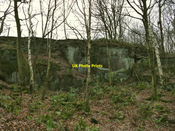 Photo 6"x4" The top of Pool Bank quarries Pool\/SE2445 c2020