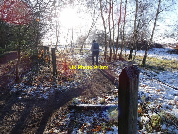 Photo 6"x4" Winter Walk Ounsdale c2020