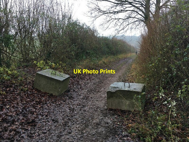 Photo 6"x4" Byway off The Harrow Way Lynch\/SU5049 c2021