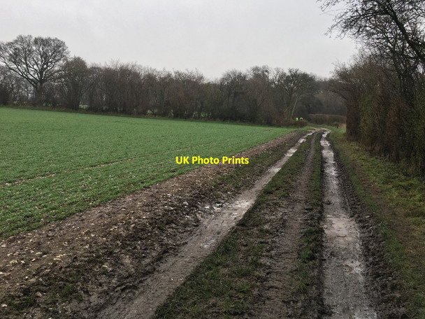 Photo 6"x4" Farm track and byway Cole Henley c2021