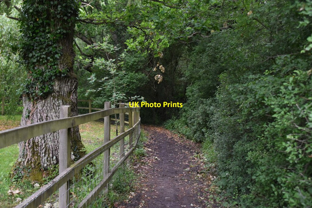 Photo 6"x4" Byway near Great Budds Underriver Ho c2020