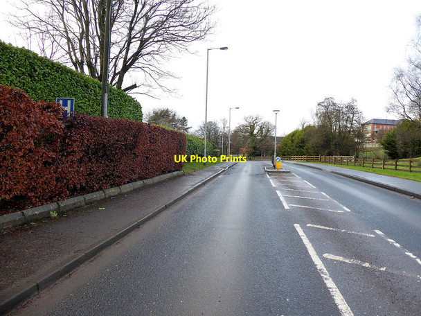 Photo 6"x4" Hospital Road, Campsie, Omagh Omagh c2021