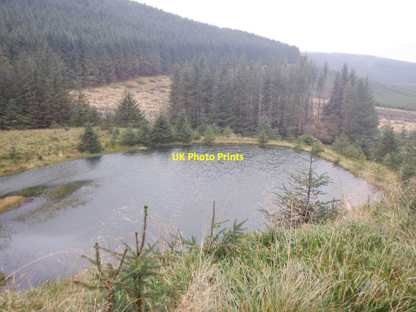 Photo 6"x4" Pond, Berrybush Burn Wardlaw\/NT2916 c2020