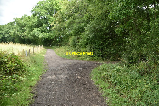 Photo 6"x4" Bridleway junction Marsh Green\/TQ4444 c2020