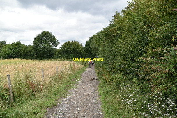 Photo 6"x4" Bridleway to Greybury Marsh Green\/TQ4444 c2020 P1
