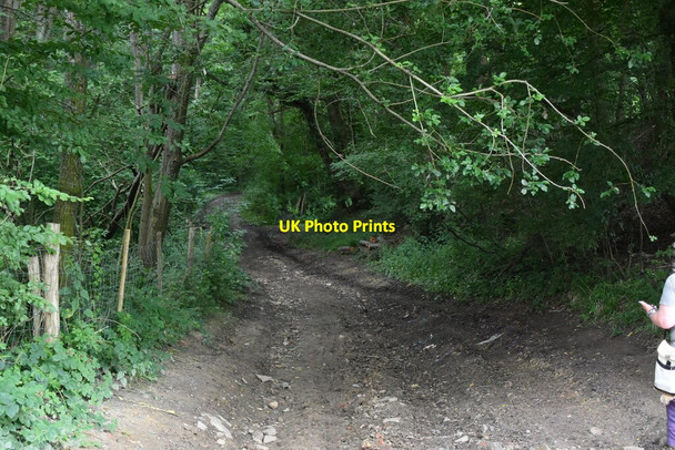 Photo 6"x4" Bridleway, Greybury Woods Marsh Green\/TQ4444 c2020
