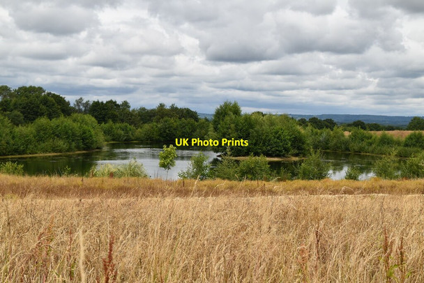 Photo 6"x4" Pond, Skitts Farm Haxted c2020 P1