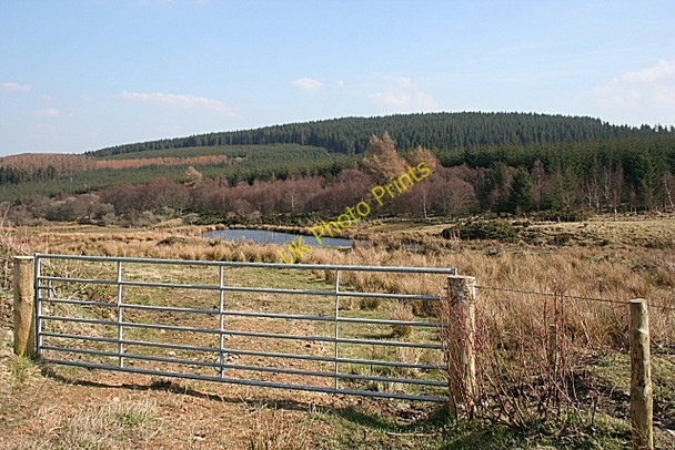 Photo 6"x4" Pond Near Cairnarget Haugh of Glass c2009