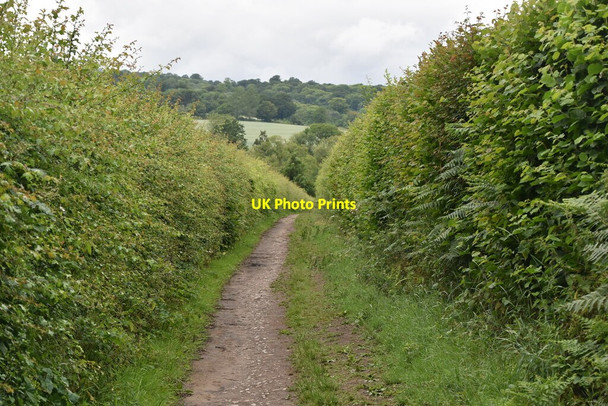 Photo 6"x4" Enclosed bridleway Plaxtol c2020