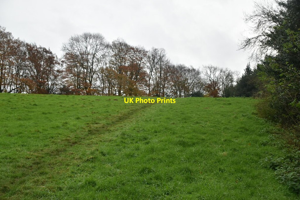 Photo 6"x4" Bridleway crossing field Sevenoaks c2019