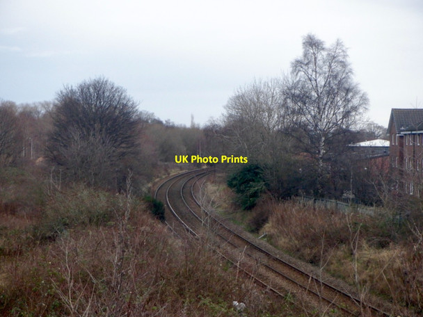 Photo 6"x4" Suburban Line by Duddingston Road West Edinburgh c2021