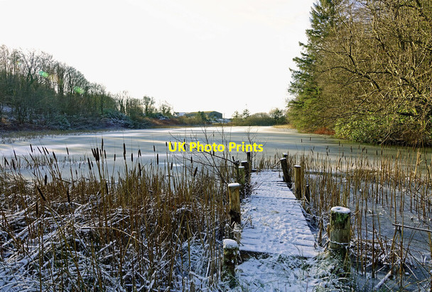 Photo 6"x4" Frozen Kirkbride Pond Crosshill\/NS3206 c2021