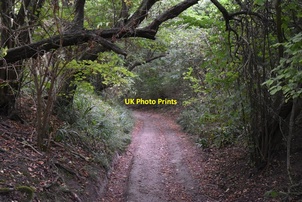 Photo 6"x4" Saxon Shore Way Newbarn\/TR1539 c2019