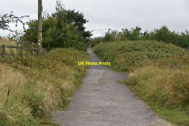 Photo 6"x4" Saxon Shore Way Postling c2019
