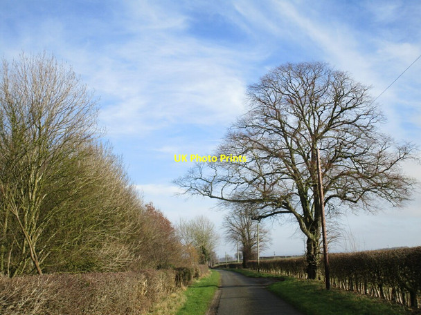 Photo 6"x4" Saxby Cliff Road alongside Folly Wood East Firsby c2021