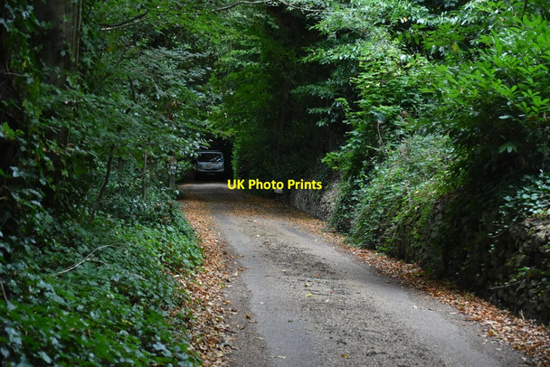 Photo 6"x4" Saxon Shore Way Hythe\/TR1634 c2019 P1