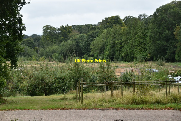 Photo 6"x4" By the Saxon Shore Way Hythe\/TR1634 c2019