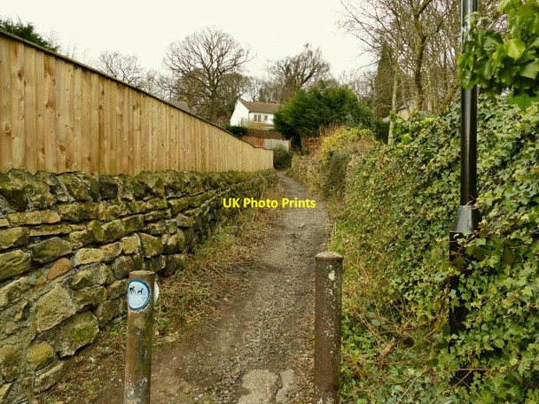 Photo 6"x4" Start of bridleway above Rein Road Horsforth c2021