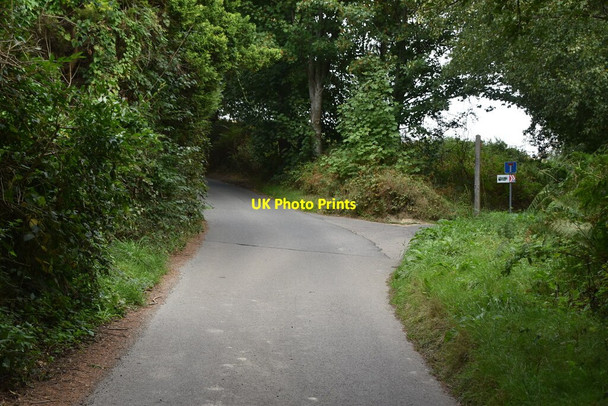Photo 6"x4" Palesgate Lane, byway junction Crowborough\/TQ5130 c2020