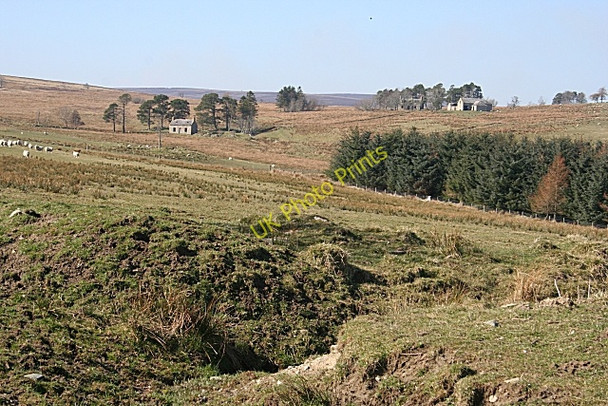 Photo 6"x4" Greens of Glenbeg Haugh of Glass c2009