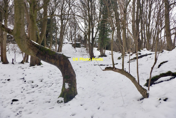 Photo 6"x4" Quarry, Craigmillar Castle Park Craigmillar c2021
