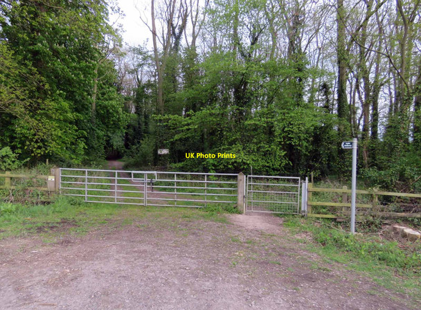 Photo 6"x4" Gateways for Public Bridleway southwards from A6006 Stanford Hills c2019