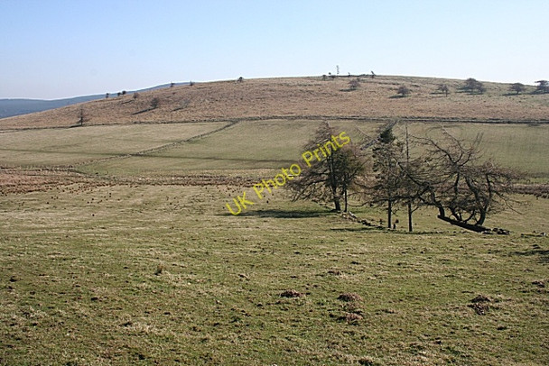 Photo 6"x4" Gallows Hill from Chapelhill Haugh of Glass c2009