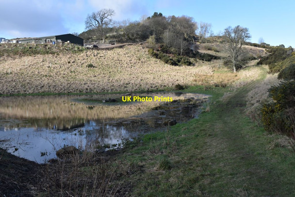 Photo 6"x4" Pond at Carphin Farm Brunton\/NO3220 c2021