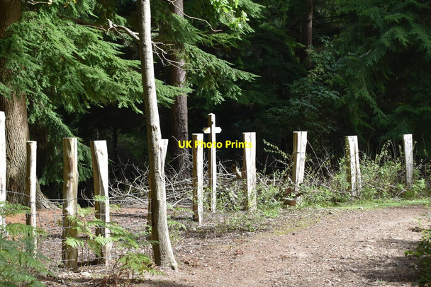 Photo 6"x4" Byway, Bridleway junction Heathfield\/TQ5630 c2020