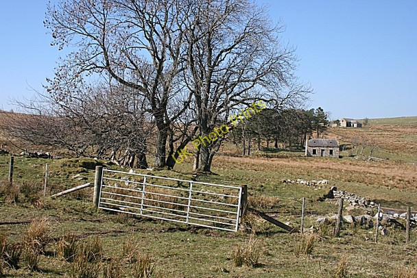 Photo 6"x4" Greens of Glenbeg Haugh of Glass c2009