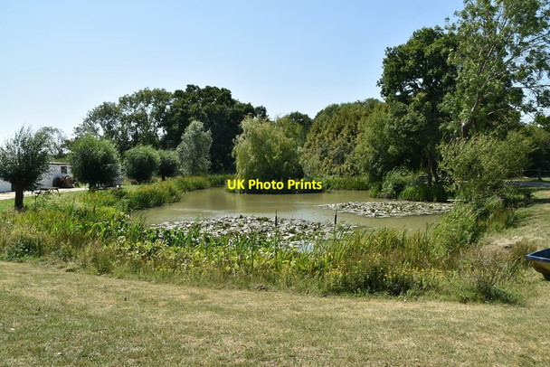 Photo 6"x4" Pond, Busses Farm Charlwood\/TQ3934 c2020