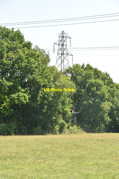 Photo 6"x4" Pylon, Busses Wood Charlwood\/TQ3934 c2020
