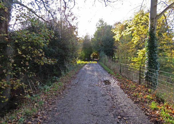 Photo 6"x4" Bridleway through Rothley Park Golf Course towards Thurcaston Rothley\/SK5812 c2020