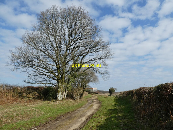 Photo 6"x4" Bridleway on Affeton Moor West Worlington c2021