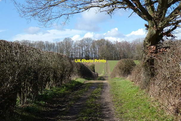 Photo 6"x4" Bridleway, Beenham Beenham Stocks c2021