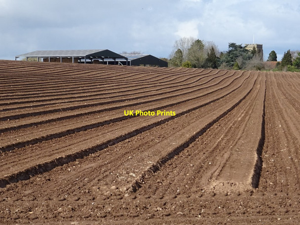Photo 6"x4" Ploughed field near Manor Farm Powick c2021