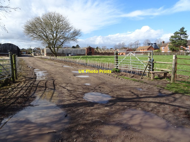 Photo 6"x4" Manor Farm, Powick Powick c2021