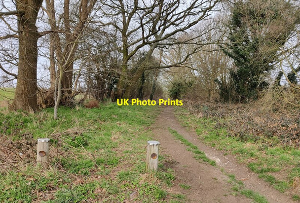 Photo 6"x4" Public bridleway along Beechtree Lane Caunsall c2021