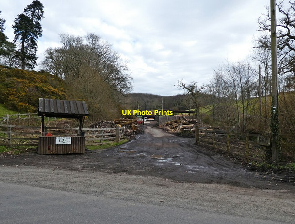 Photo 6"x4" Culver Sawmill Sowton Barton c2021