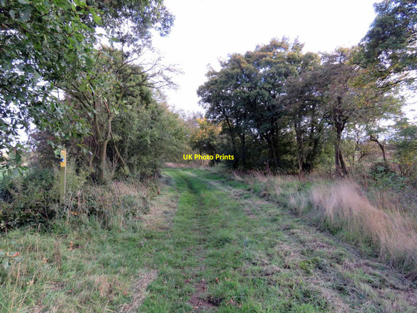 Photo 6"x4" Bridleway towards Birley Ashwell\/SK8613 c2020