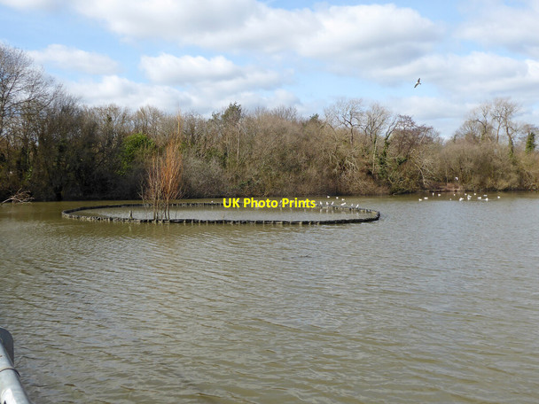 Photo 6"x4" Lagoon in Ifield Mill Pond, Crawley Bewbush c2021